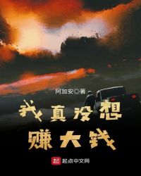 我真没想赚大钱封面