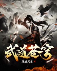 武道苍穹封面