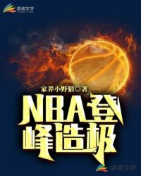 NBA登峰造极封面