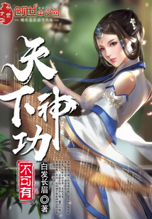 天下神功不可有封面