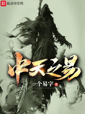 中天之易封面