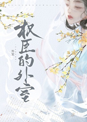 权臣的外室封面