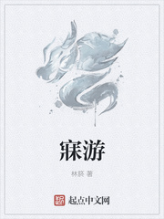 寐游封面