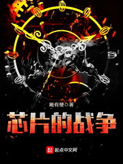 芯片的战争封面