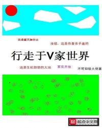 行走于V家世界封面