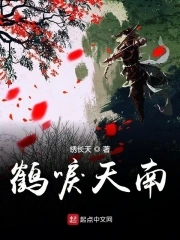 鹤唳天南封面