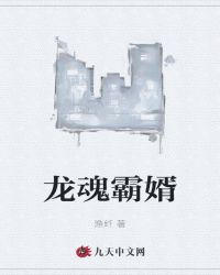 龙魂霸婿封面
