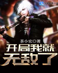开局我就无敌了封面