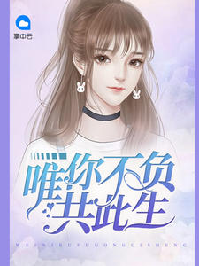 唯你不负共此生封面