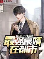 最强豪婿在都市封面