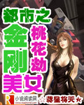 都市之金刚美女桃花劫封面