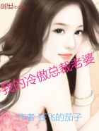 我的冷傲总裁老婆封面