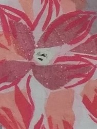 胖女人的吸引力封面