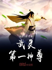 武灵第一神尊封面