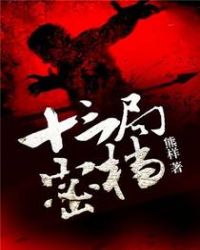 十三局密档封面