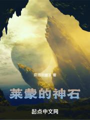 莱蒙的神石封面