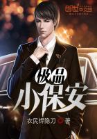 极品小保安封面