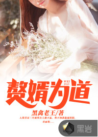 赘婿为道封面