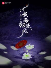 妖雨剑流风封面