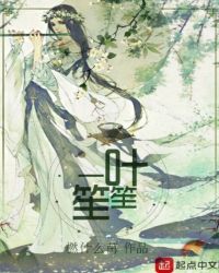一叶笙笙封面
