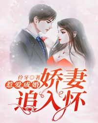 惹爱成婚:娇妻追入怀封面