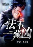 法不藏凶封面