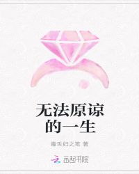 无法原谅的一生封面