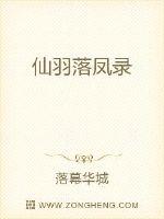 仙羽落凤录封面