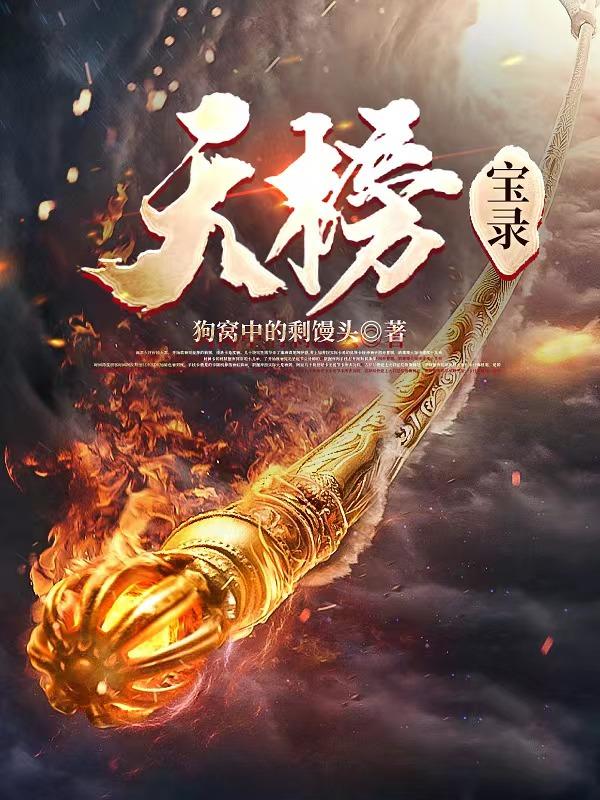 天榜！宝录封面