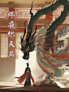 烬夜织天局封面