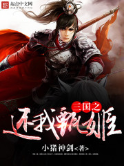 三国之还我甄姬封面