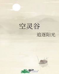 空灵谷封面