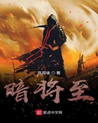 暗将至封面