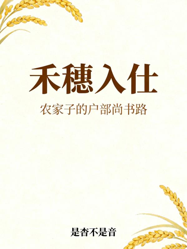 农家子的户部尚书路封面