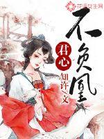 君心不负凰封面