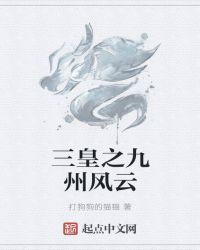 三皇之九州风云封面