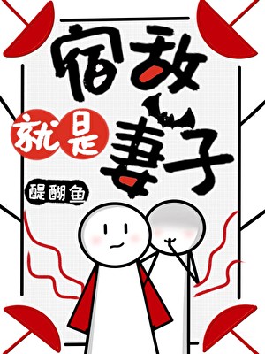 宿敌就是妻子封面