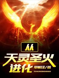 从天灵圣火进化封面