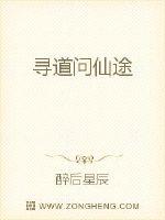 寻道问仙途封面
