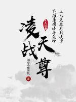 凌天战尊封面