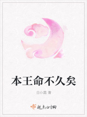 本王命不久矣封面