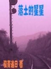 落土的星星封面