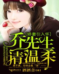 娇妻引入怀：乔先生，请温柔！封面