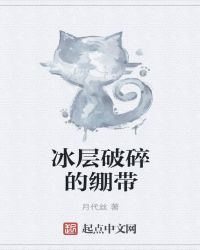 冰层破碎的绷带封面