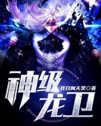 神级龙卫封面