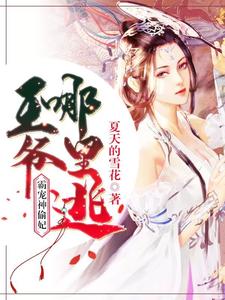 霸宠神偷妃:王爷哪里逃封面