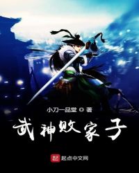 武神败家子封面