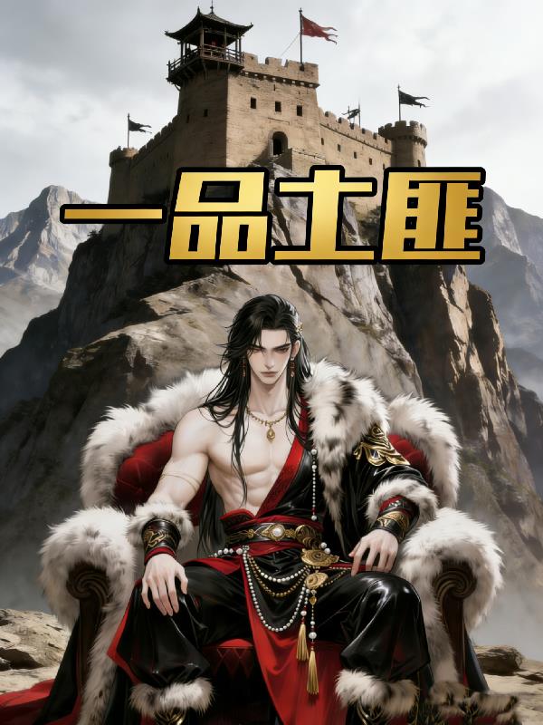 一品土匪封面