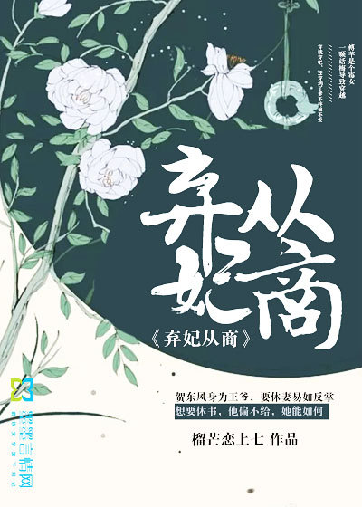 弃妃从商封面