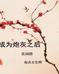 成为炮灰之后封面